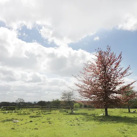 Σπίτι διακοπών Stone Cross